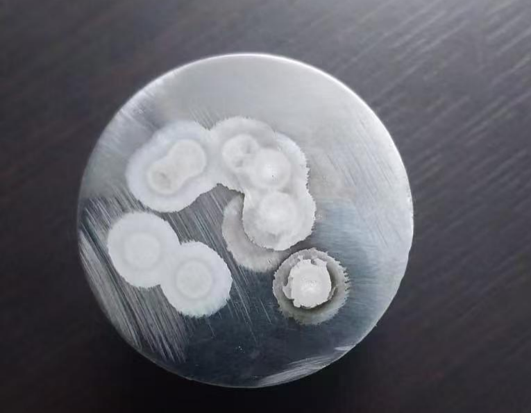 白点